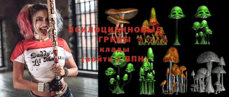 наркотики  Заволжск  Галлюциногенные грибы Psilocybe 